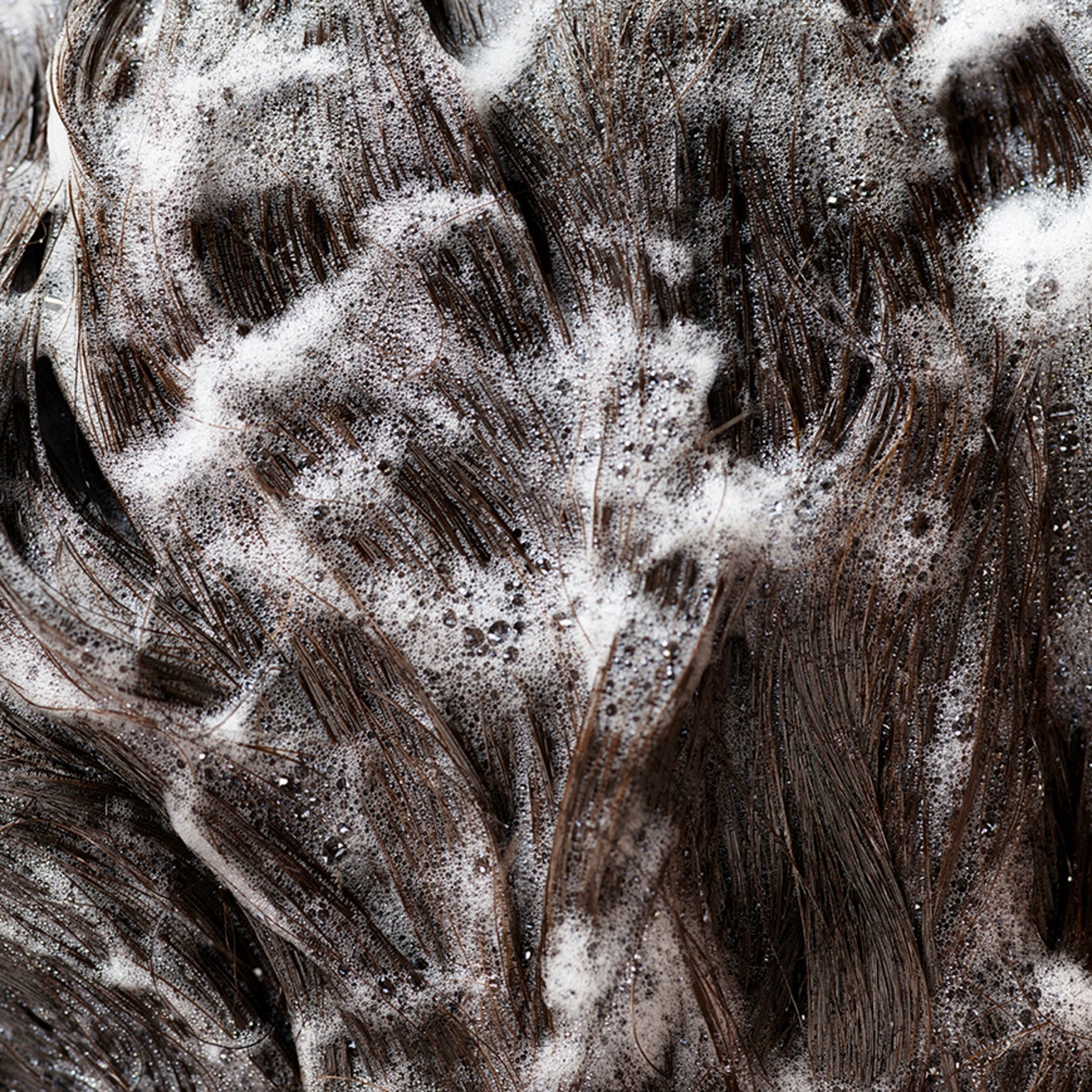 Signature Shampoo - Image 5